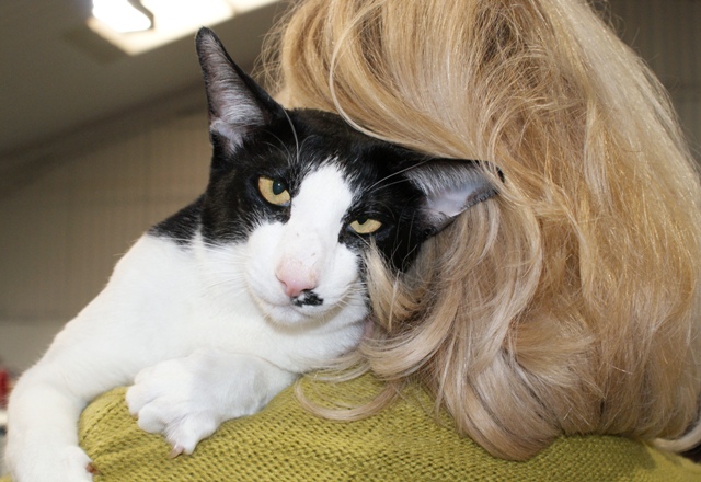 IGrCh Inlay Joop van Scalindjo